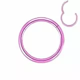 Artskin Grad 23 Titanium Scharnier Nase Ringe Hoops Körper Piercing Ringe Helix Knorpel Rook Ohrringe 20G 18G 16G, Durchmesser 6mm-10mm Schwarz/Silber/Gold/Rose Gold/Pink