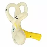 Sonew Ohren Modell, Modell Des Halbkreisförmigen Ohrkanals, 5 fache Vergrößerung Anatomisches Modell der Innenohr Cochlea