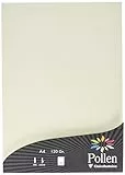 Clairefontaine 24303C Packung mit 50 Blatt Pollen, DIN A4, 210 x 297 mm, 120g, Perlmutt Elfenbein