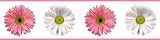 RoomMates - Wandsticker FlowerPower Bordüre 12,8 cm x 4,5 m