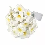LEDMOMO Lichterkette mit 20 LEDs, Frangipani-Blume, batteriebetrieben, warmweißes Licht