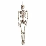 Boland Skelett 160cm