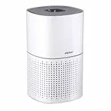 alpina Luftreiniger mit Ionisator - Air Purifier mit HEPA-Filter H11 - Luftfilter mit 3 Geschwindigkeiten - Lufterfrischer mit Timerfunktion - Stille Nachtmodus Räume bis 28 m² Weiß