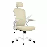 Farini Ergonomischer Stuhl Schreibtischstuhl Höhenverstellbar BürostuhlBequem mit Kopfstütze, Home Office Stuhl Computer Stühle Chefsessel mit Armlehne, 150 Kg PC Stuhl mit Rollen