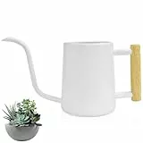 LPAMABA Gießkanne Zimmerpflanzen, 1L Edelstahlgießkanne Blumengießkanne Kleine Moderne Bewässerung Topf Dekorativer Giesskanne mit Langem Auslauf für Haus, Bonsai, kleine Topfpflanzen, Weiß