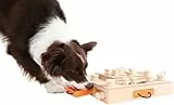 My Intelligent Dogs Interaktives Hundespielzeug Intelligenz, Hundepuzzle - Intelligenzspielzeug für Hunde Mentalen Auslastung - Interaktives Spielzeug Hund, Denkspiele für Hunde Turtle
