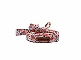 Unique Style Paws Hundehalsband Fliege Halsband Verstellbare Halsbänder oder Hundeleinen für Hunde und Katzen Klein Mittelgroß Groß