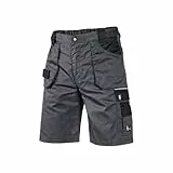 CXS Herren Arbeitsshorts Professionell - Sehr Stabile Strapazierfähige Shorts Arbeitshose Gartenhose Bundhose Gartenshorts (Grau - Schwarz, 56)