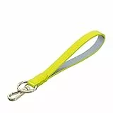 DUDU Schlüsselbund aus Echt Leder mit Metallring und Karabinerhaken, Schlüsselband für Schlüssel, Ausweishülle, Auto, Schlüsselanhänger Lime