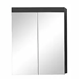 trendteam smart living - Amanda - Spiegelschrank - Grau Hochglanz - moderner Badspiegel mit 3 Fächern - (BxHxT) 60 x 77 x 17 cm - 2 Einlegeböden - Kratzfest