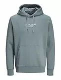 JACK&JONES Herren Jprbluarchie Sweat Hood Noos Kapuzenpullover, Goblin Blue, L