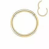 Artskin Grad 23 Titanium Scharnier Nase Ringe Hoops Körper Piercing Ringe Helix Knorpel Rook Ohrringe 20G 18G 16G, Durchmesser 6mm-10mm Schwarz/Silber/Gold/Rose Gold/Pink