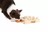 My Intelligent Dogs Interaktives Hundespielzeug Intelligenz - Intelligenzspielzeug für Hunde - Interaktives Spielzeug Hund - Denkspiele für Hunde - Turtle