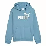 PUMA ESS No. 1 Logo Hoodie FL G