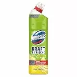 Domestos Kraft & Frische WC-Gel Lime Fresh sorgt für hygienische Sauberkeit im Badezimmer