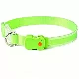 Leuchthalsband Hund – USB aufladbares LED Hundehalsband, verstellbar & wasserdicht, 3 Leuchtmodi, superhelles Sicherheitshalsband für Mittlere & Große Hunde (Grün, M)