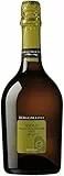 Borgo Molino Prosecco DOCG Asolo Superiore Brut Bio Prosecco (1 x 0.75 l)