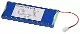 akkupilot Pro Line Akkupack für Rolladensteuerung NiMH 12 V / 2100mAh Baugleich zu Akkupack ROTO ZEL 12V/2,1 Ah