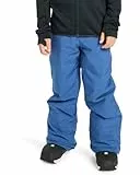 Quiksilver Snow Pants Estate Pant Kids Boy's Blue 16