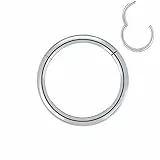 Artskin Grad 23 Titanium Scharnier Nase Ringe Hoops Körper Piercing Ringe Helix Knorpel Rook Ohrringe 20G 18G 16G, Durchmesser 6mm-10mm Schwarz/Silber/Gold/Rose Gold/Pink
