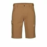 Mammut Runbold IV Shorts Men