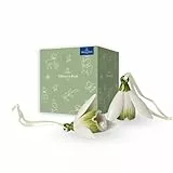 Villeroy & Boch - Mini Flower Bells Schneeglöckchen Set 2 Teilig, Kunstblumen, Künstliche Frühlingsblumen, Keramikblüten Zum Hängen Deko, Porzellanblümchen, Ostern Anhänger, Premium Porzellan