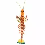 Toyvian Deko-Garnele Modell wie echt – Detailgetreue Simulation Meeresfrüchte Pädagogisches Naturkunde Spielzeug für Schule Kindergarten Robustes Kunststoff Tierfigur Set für Sammler Meeres-Deko