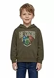 LEGO® NINJAGO® Hoodie für Jungen - Kapuzenpullover mit Ninja-Print | Weiches Sweatshirt aus 100% Bio-Baumwolle | Bequemes Oberteil für Fans