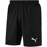 PUMA Herren Liga Shorts Core With Brief Hose, Puma Black-puma White, M EU