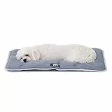 Ferplast Hundematte & Katzenmatte Klein - Waschbares Hundebett - Hundekissen - Wasserdicht & Kratzfest - Matte für Hundehütten und Auto, Hundekorb - Jolly - 57 x 38 cm, S, GRAU