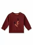 Sanetta Baby - Jungen 11752 Jungen-Sweatshirt Rot | Hochwertiges Und Gemütliches Sweatshirt Aus Bio-Baumwolle Mit Karotten-Motiv Bekleidung, Rot, 80 EU