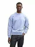 TOM TAILOR Denim Herren 1045579 Sweatshirt, 11486-Brunnera Blue, XL