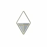Umbra Trigg Hänge-Pflanzgefäß Vase & Geometrische Wanddekoration Behälter für Sukkulenten, Luft, Mini-Kakteus, Kunstpflanzen und mehr, Grau/Messing, klein