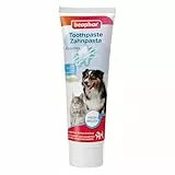 BEAPHAR - Zahnpasta Für Hunde Und Katzen - Schützt vor Plaque Und Zahnstein - Mit Leber-Geschmack - Ohne Fluoride - 100 g