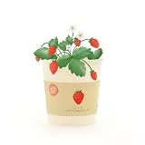 Erdbeer-Anzuchtset als liebevolles Geschenk | Anzuchtbecher mit Erdbeer-Saatgut, Kokos-Quelltablette & Anleitung | Nachhaltige Geschenkidee für Liebesbotschaften, Geburtstage & Wertschätzung