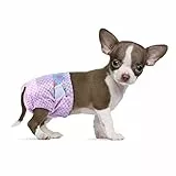 Flying Paws Einwegwindeln für Hunde, geeignet für Hunde und Katzen, verstellbare Einwegwindeln von 10–40 Stück (XXS-20 Stück)