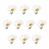 FRCOLOR Kleine Gänseblümchen Haarspangen Blumen Haarspangen Weiße Sonnenblumen Blumenrand Clip Klammern für Damen Und Mädchen