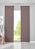 Gardinenbox 2er Set Verdunkelung Schiebegardinen »Newyork« HxB 225x60 cm Taupe Flächenvorhänge Paneelwagen Blickdicht Thermo-Schiebevorhang, 202020680-2