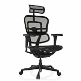 hjh OFFICE Bürostuhl ergonomisch ERGOHUMAN Signature GEN2 Originales Design, Bürosessel mit Flexibler Lendenwirbelstütze, Netzbespannung, Schwarz
