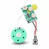 ASHATA Soundmodul Gruß-Modul,Wiederbespielbarer Stimm Soundaufzeichnungschip DIY Grußkarte,60 Sekunden Sound Chip Modul Musik Audio Karten für Geschenkbox/DIY-Grußkarten