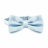 OcioDual Hellblau Fliege Herren, Herren Fliege Anzug, Einfach Herrenfliege mit verstellbarem Haken-Clip-Verschluss, 12 cm x 6 cm, Feiern, Partys, Arbeit, Hochzeiten und Events