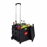 Relaxdays Einkaufstrolley klappbar, mit Teleskopgriff & Deckel, Transporttrolley, bis 35 kg, HBT 99x45x38 cm, Farbwahl, 1 Stück