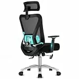 Durrafy Bürostuhl, Bürostuhl Ergonomisch mit Lendenstütze Verstellbarer Kopfstütze und Armlehnen, 4-stufige Neigungsverriegelung, Höhenverstellbar Schreibtischstuhl bis 150kg Schwarz, Arbeitsstuhl