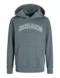 JACK & JONES JUNIOR Jjecaleb Varsity Sweat Hood Noos Jnr