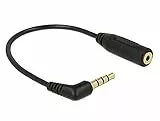 DeLOCK Audiokabel, 3,5 mm / 2,5 mm, 0,175 m, 3,5 mm / 2,5 mm, Schwarz