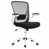 SONGMICS Ergonomischer Bürostuhl aus Segeltuch, Sessel, gepolsterte Lendenwirbelstütze, Wippmechanismus, breite Sitzfläche 53 cm, klappbare Armlehnen, schwarz und weiß OBN37WT