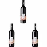 Weingut Gesellmann Blaufränkisch vom Lehm - BIO-Rotwein aus Österreich Deutschkreuz Burgenland trocken (1 x 0.75 l) (Packung mit 3)