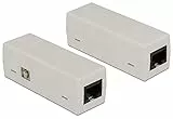 DeLock Netzwerk Isolator Überspannungsschutz Blitzschutz 6 kV RJ45, 62619, grau