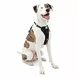 Kurgo TRU-Fit Hundegeschirr, Crash-Test-erprobtes Auto-Sicherheitsgurt, Für Hunde von 2 bis 5 kg, Größe M, Schwarz