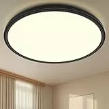 Swoieltr Deckenlampe LED Ultradünne Deckenleuchte mit Fernbedienung Dimmbar (3000K-6500K), 24W 2800LM, IP44 | Ø30cm (2,4cm) | Küchenlampe, Deckenleuchten Für Wohnzimmer, Schlafzimmer, Badezimmer